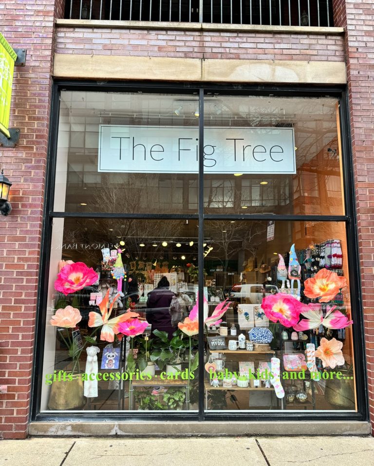 The Fig Tree